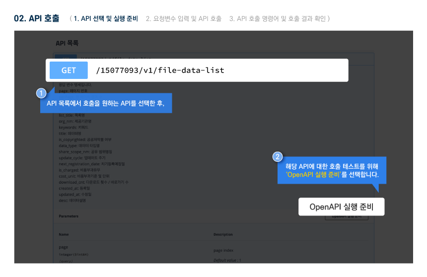 swagger execute api 07