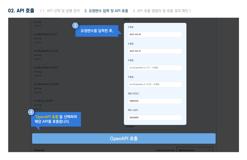 swagger execute api 08
